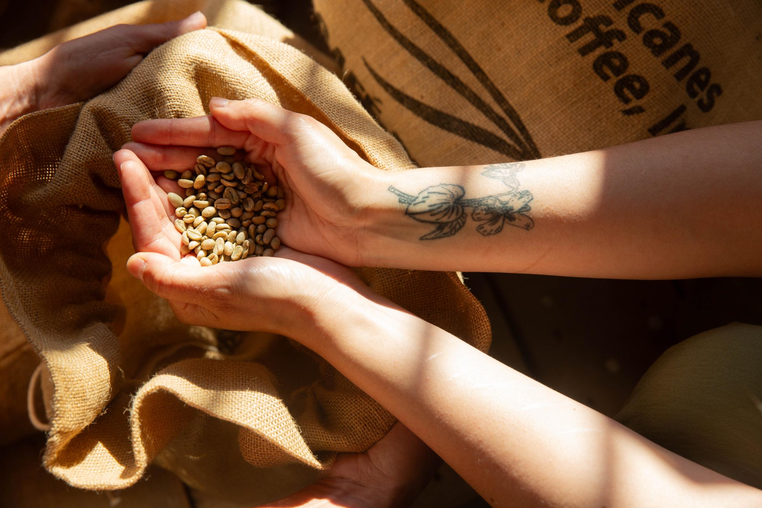 Wecandoo - Découvrez la torréfaction et personnalisez votre sachet de café avec Julie - Image n°2