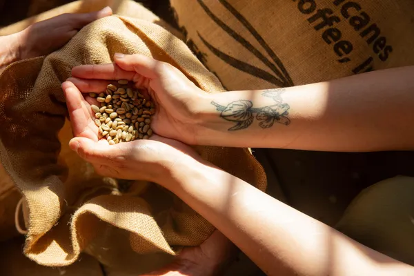 Découvrez la torréfaction et personnalisez votre sachet de café avec Julie - Image n°2 - Wecandoo