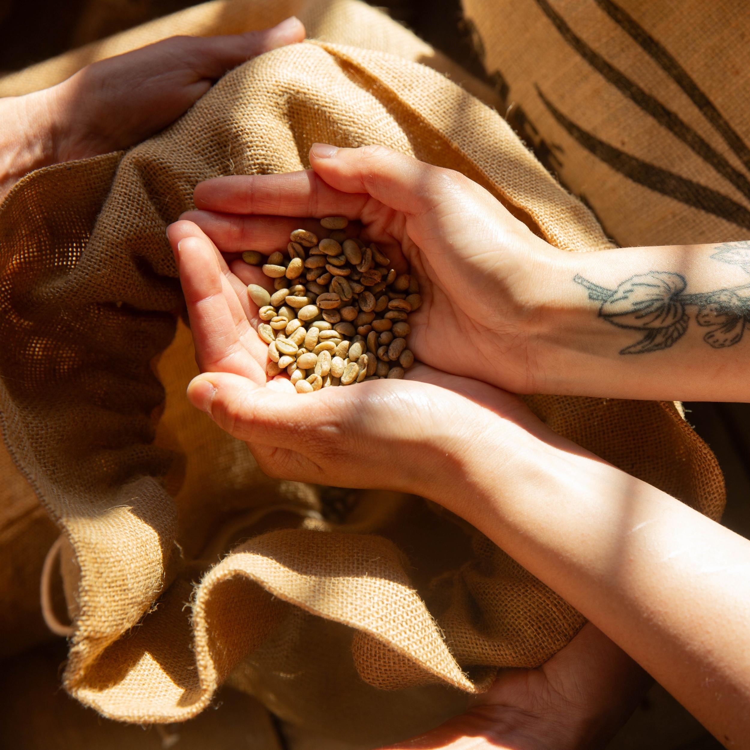 Découvrez la torréfaction