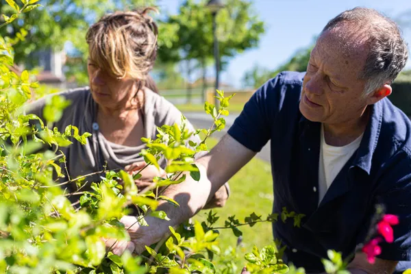 Initiez-vous à la vannerie sauvage et ancestrale. - Image n°4 - Wecandoo