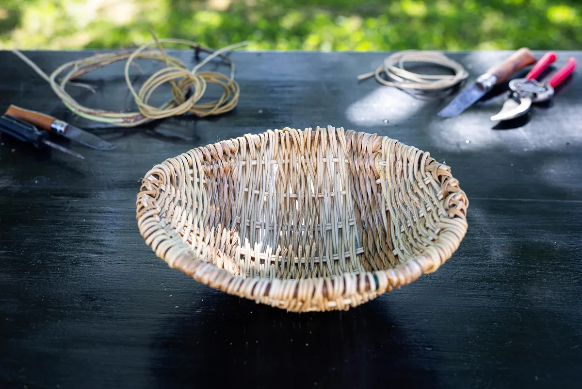 Initiez-vous à la vannerie sauvage et ancestrale.