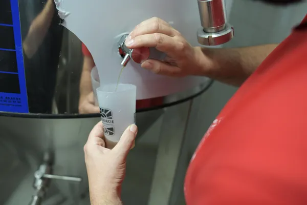 Visitez une microbrasserie et dégustez des bières atypiques avec Thibaud - Image n°3 - Wecandoo