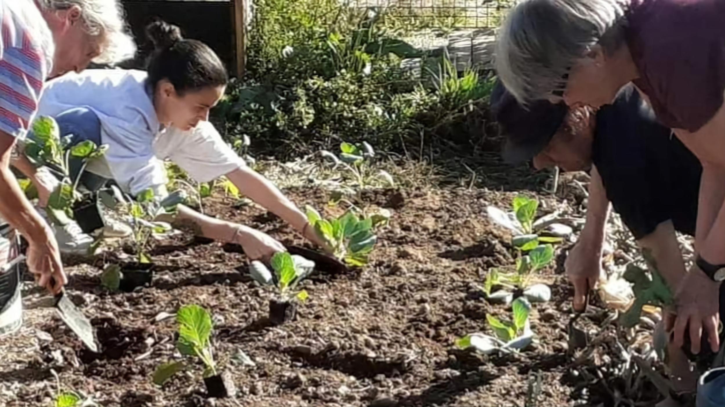 Wecandoo - Initiez-vous au jardinage écologique avec Christophe - Image n°4