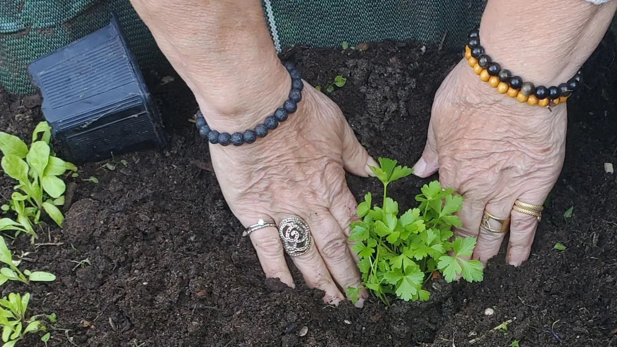 Initiez-vous au jardinage écologique