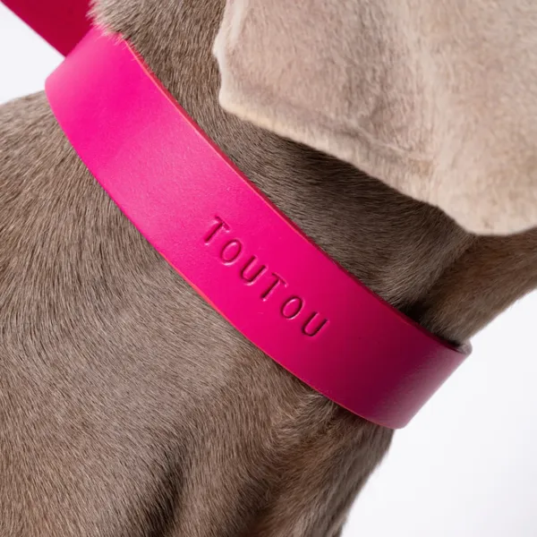Wecandoo - Réalisez votre collier pour chien