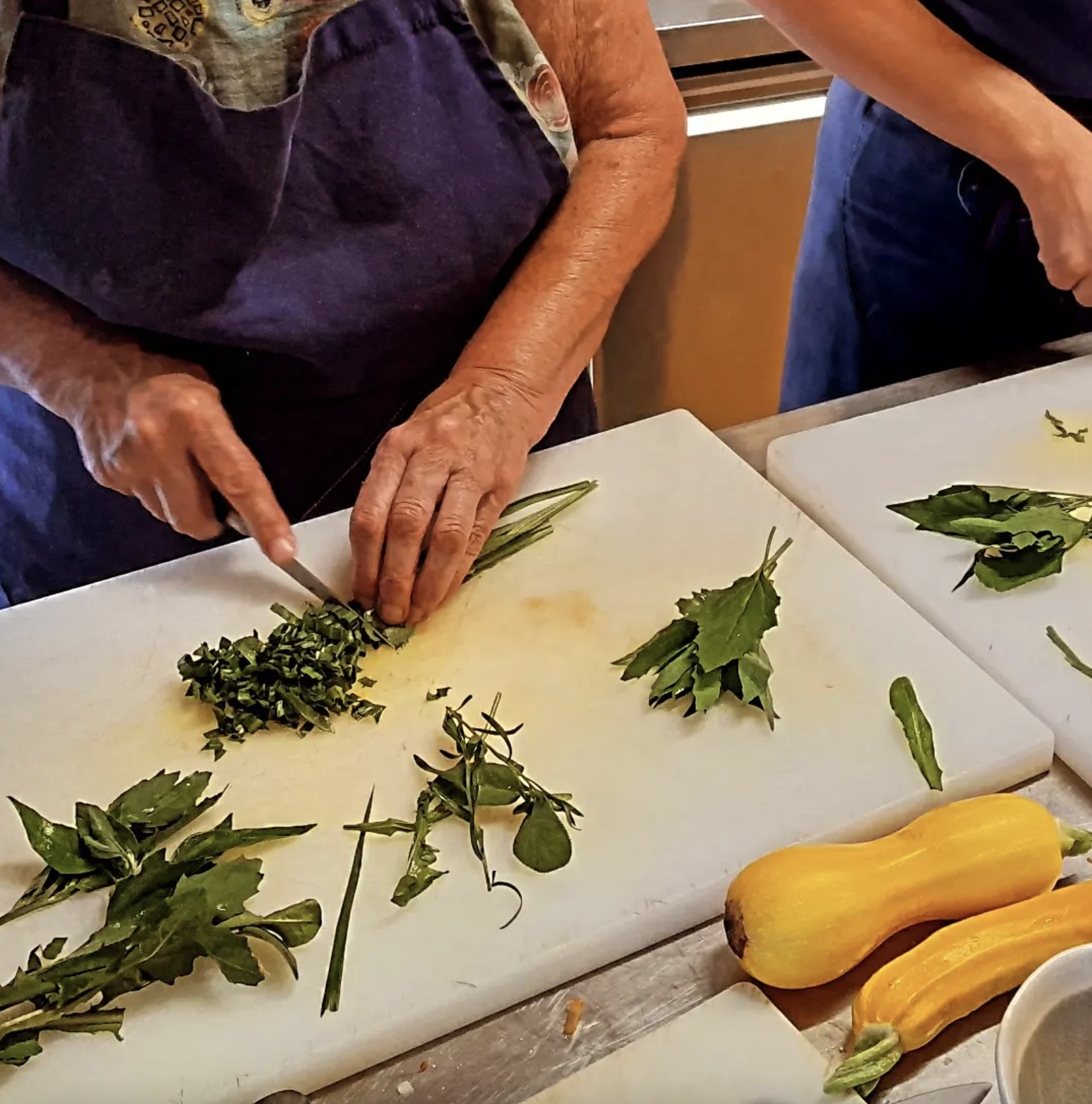 Wecandoo - Préparez un repas autour des plantes sauvages avec Marc - Image n°7