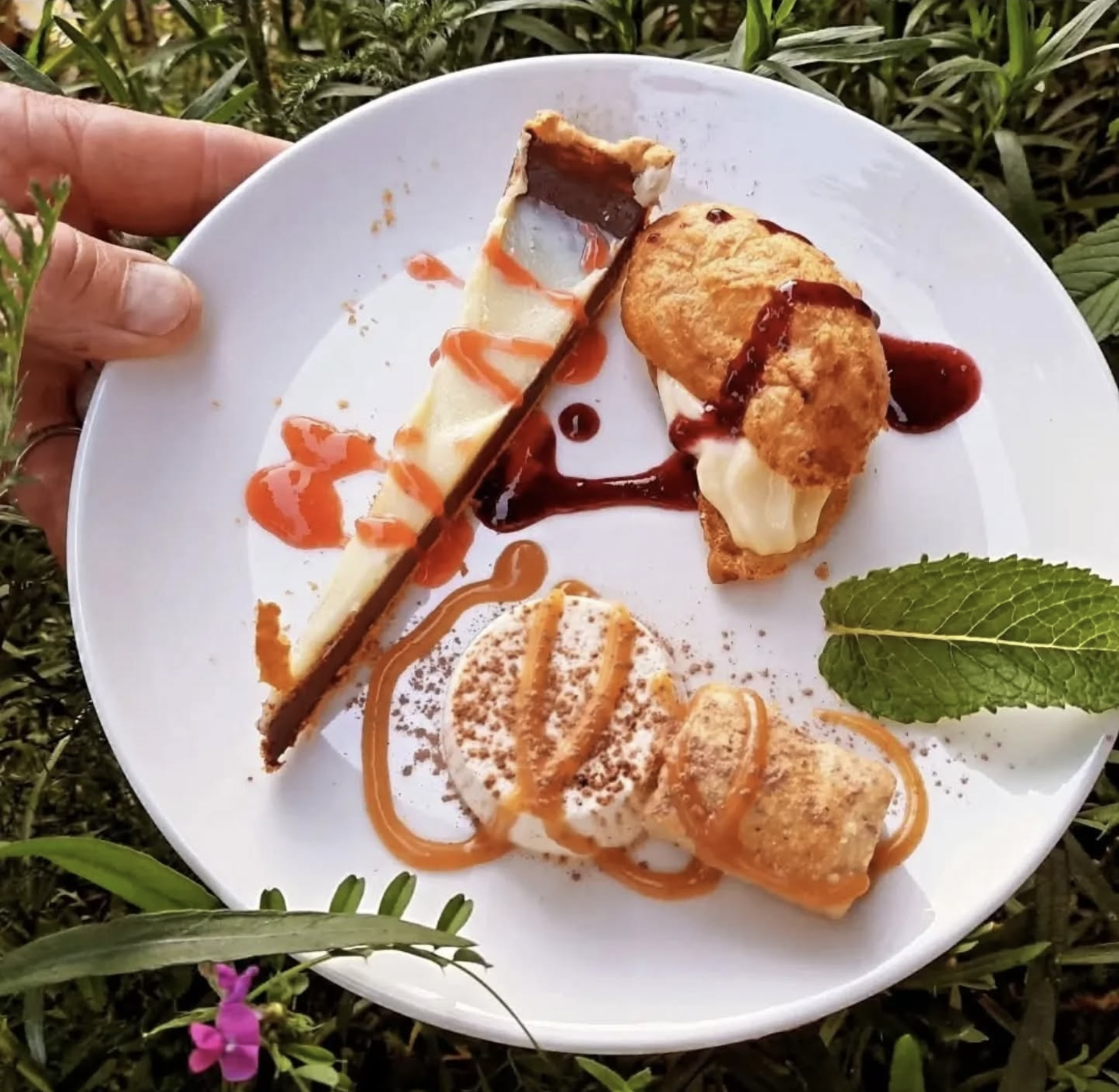 Préparez un repas autour des plantes sauvages