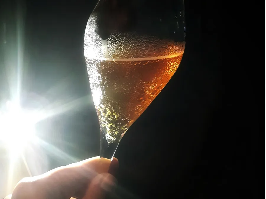 Dégustez du thé à l’heure de l’apéro avec Ekaterina - Afbeelding nr. 1 - Wecandoo