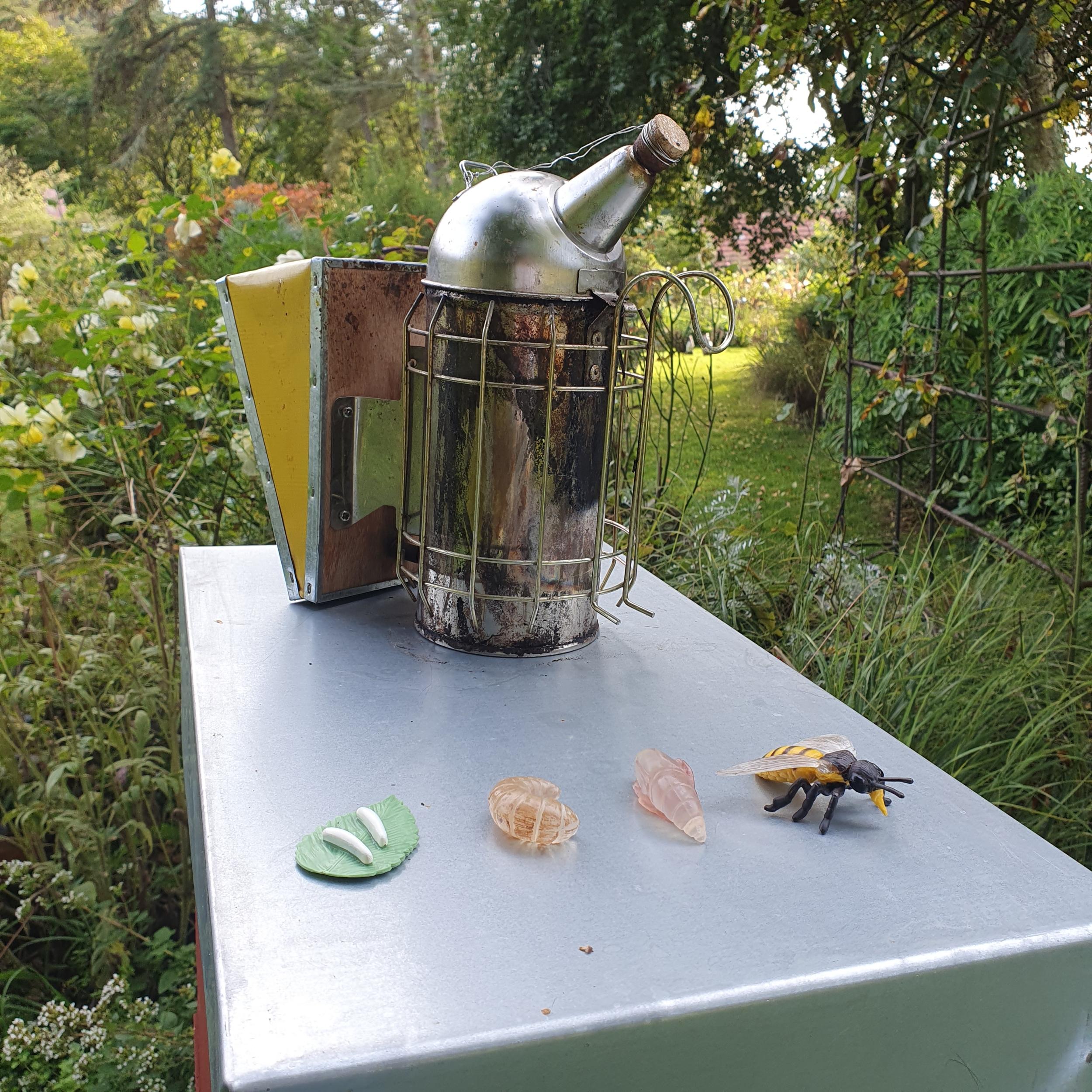 Wecandoo - Découvrez le monde de l'apiculture avec Sylvia - Image n°12