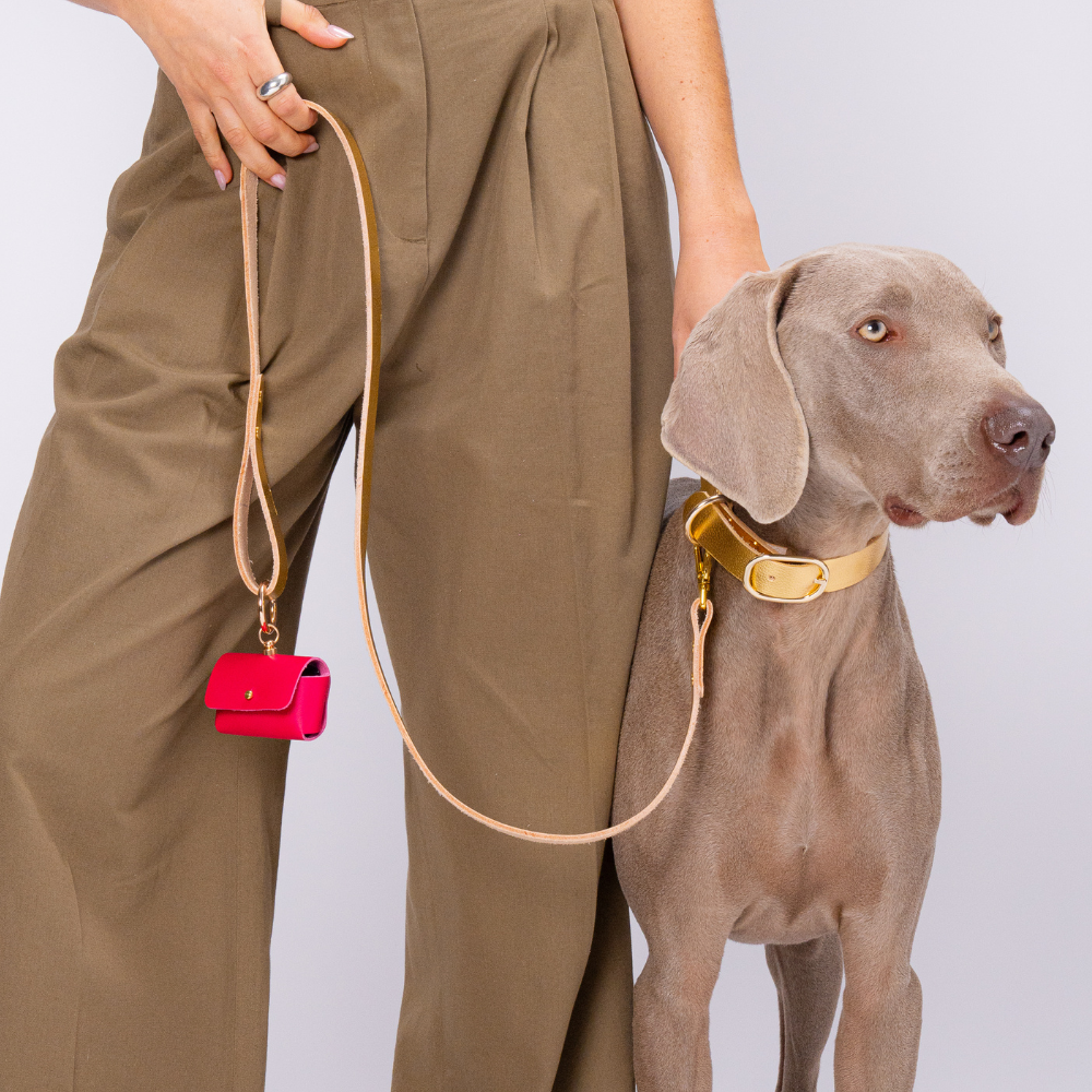 Wecandoo - Réalisez votre collier pour chien avec Elisabeth, Marc, Laetitia et Juliette - Image n°1