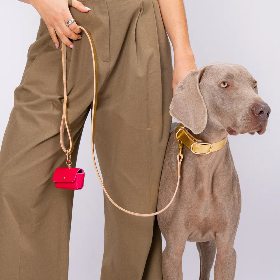 Réalisez des accessoires pour votre chien avec Elisabeth, Marc, Laetitia et Juliette - Image n°1 - Wecandoo