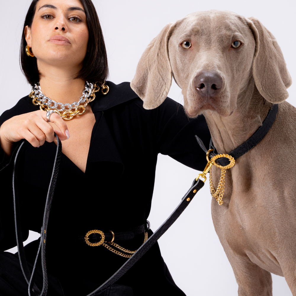 Wecandoo - Réalisez votre collier pour chien avec Elisabeth, Marc, Laetitia et Juliette - Image n°6