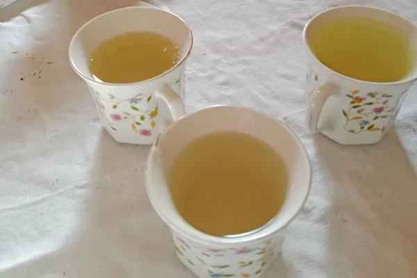 Cueillez des plantes médicinales et dégustez des tisanes avec Sylvie - Afbeelding nr. 5 - Wecandoo