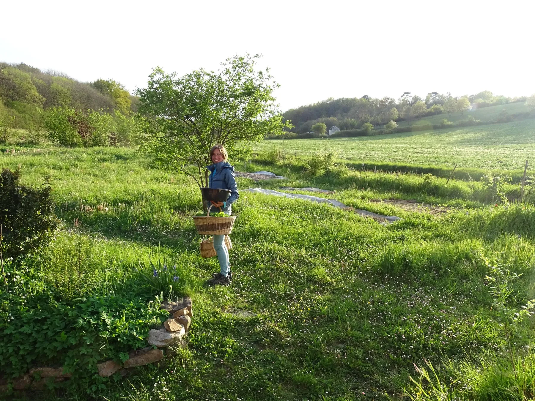 Cueillez des plantes médicinales et dégustez des tisanes avec Sylvie - Image n°3 - Wecandoo