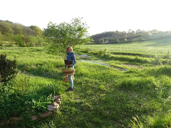 Cueillez des plantes médicinales et dégustez des tisanes avec Sylvie - Afbeelding nr. 3 - Wecandoo