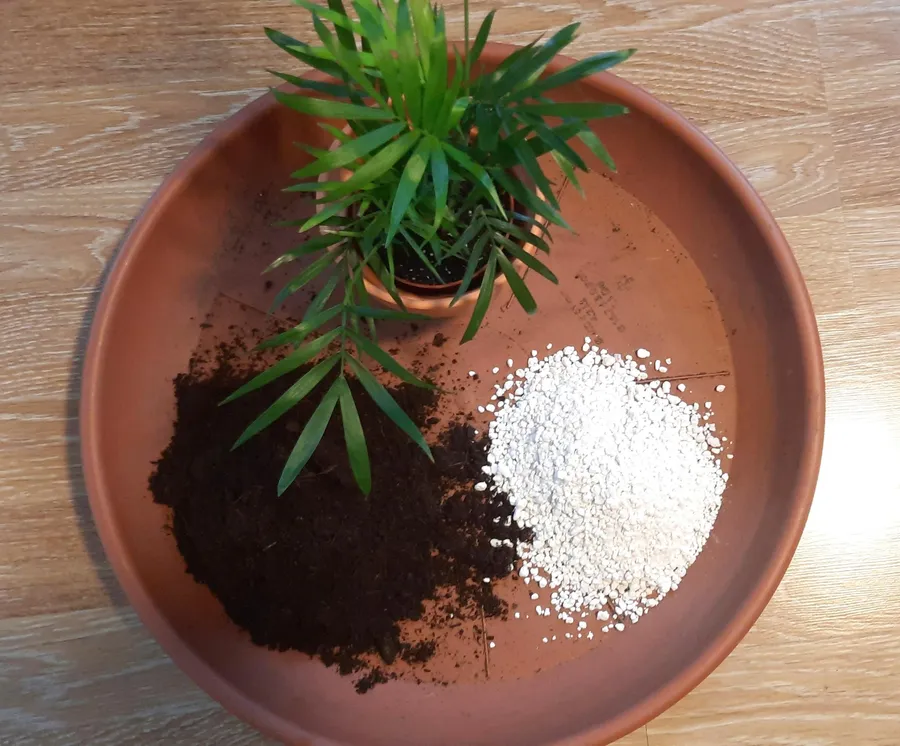 Initiez-vous à la peinture sur pot et rempotez votre plante en duo avec votre enfant, accompagnés par Roxane - Image n°1 - Wecandoo