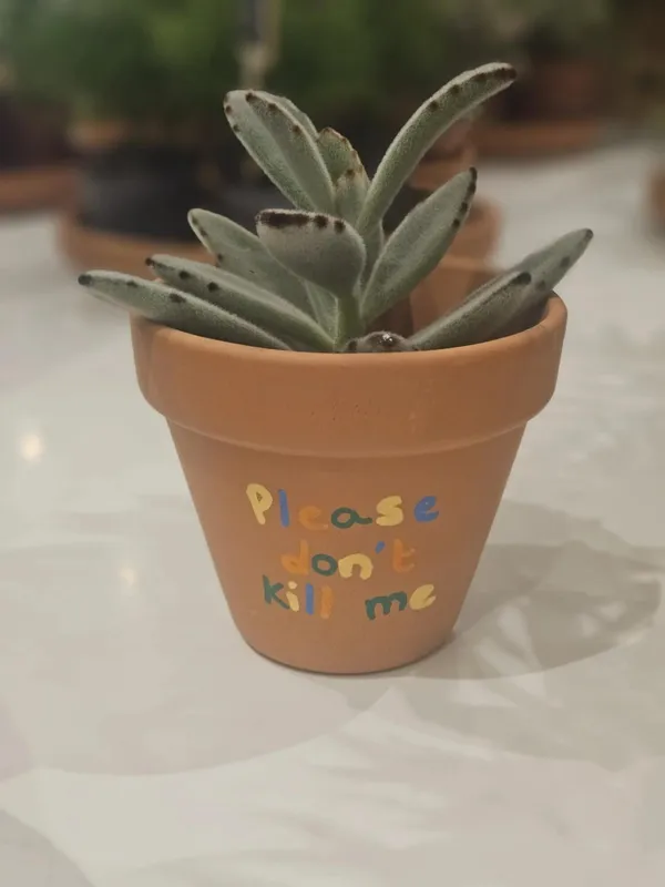 Initiez-vous à la peinture sur pot et rempotez votre plante en duo avec votre enfant, accompagnés par Roxane - Image n°5 - Wecandoo