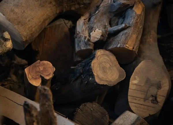 Réalisez votre décapsuleur à la forge avec Samuel - Afbeelding nr. 5 - Wecandoo