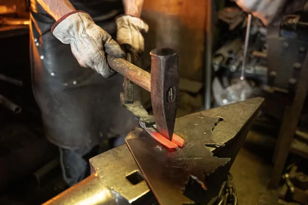 Initiez-vous à la forge avec Frédéric - Image n°4 - Wecandoo