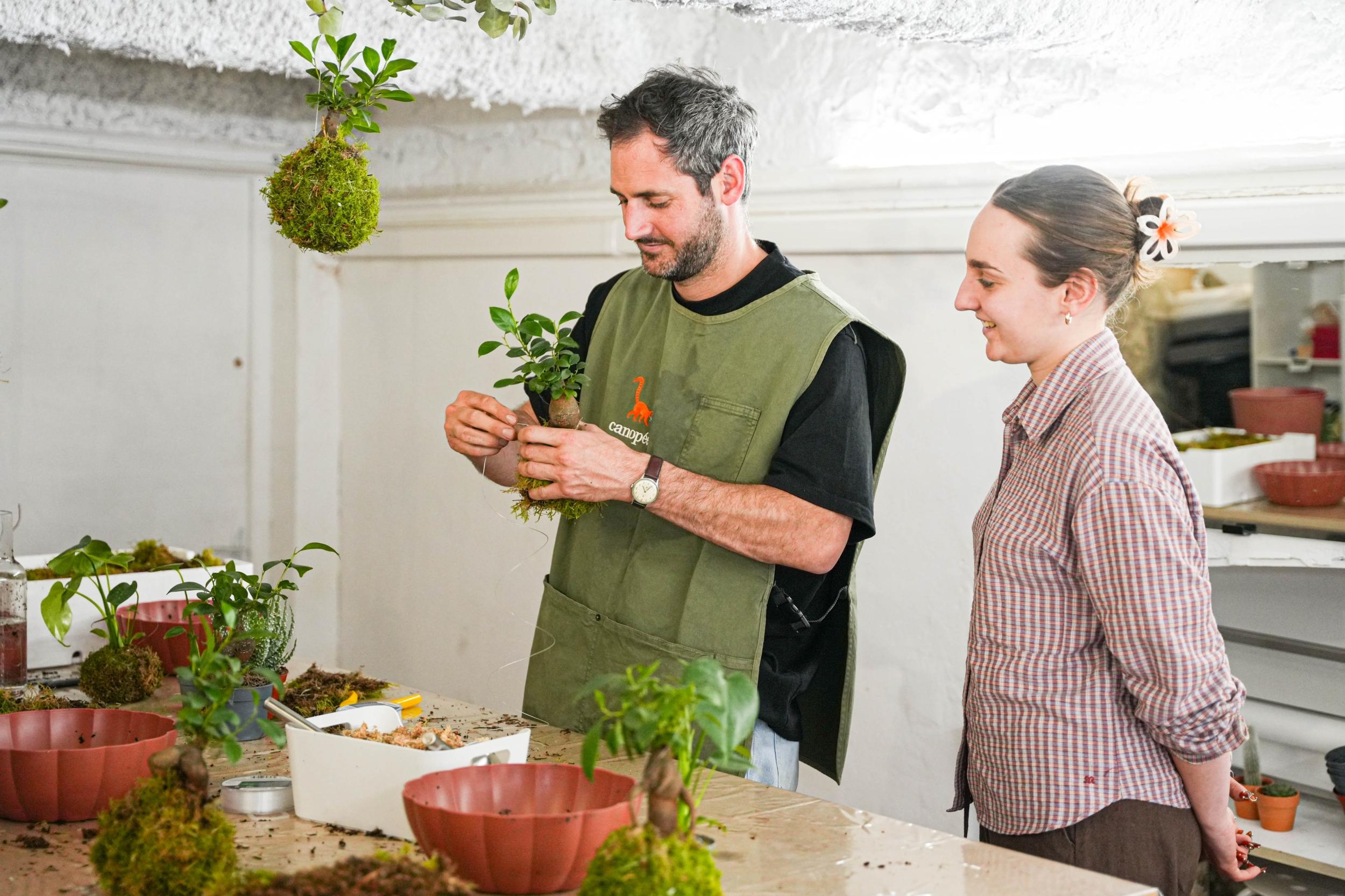 Wecandoo - Créez votre kokedama sous cloche avec Hugo - Image n°2