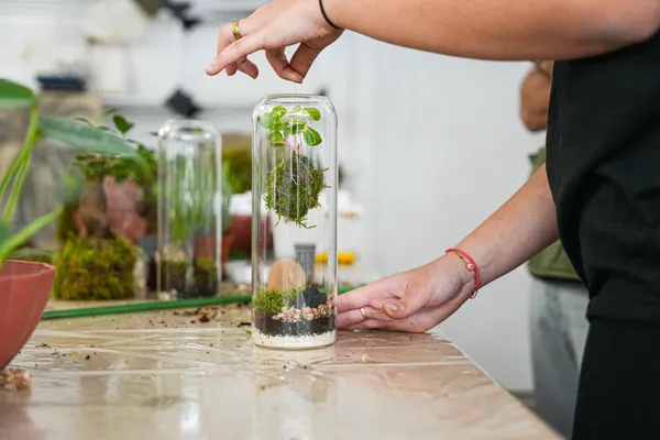 Créez votre kokedama sous cloche avec Hugo - Image n°1 - Wecandoo