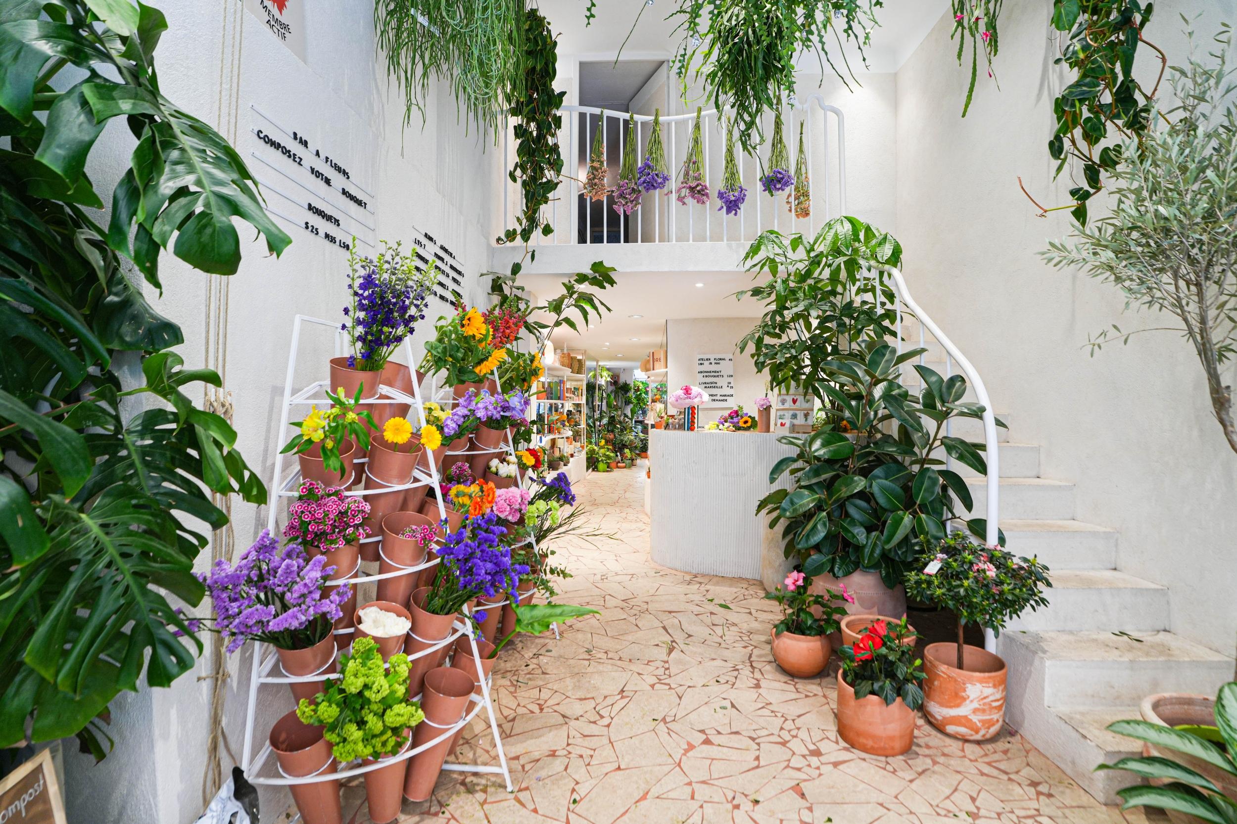 Wecandoo - Créez votre mini-jardin avec Hugo - Image n°9