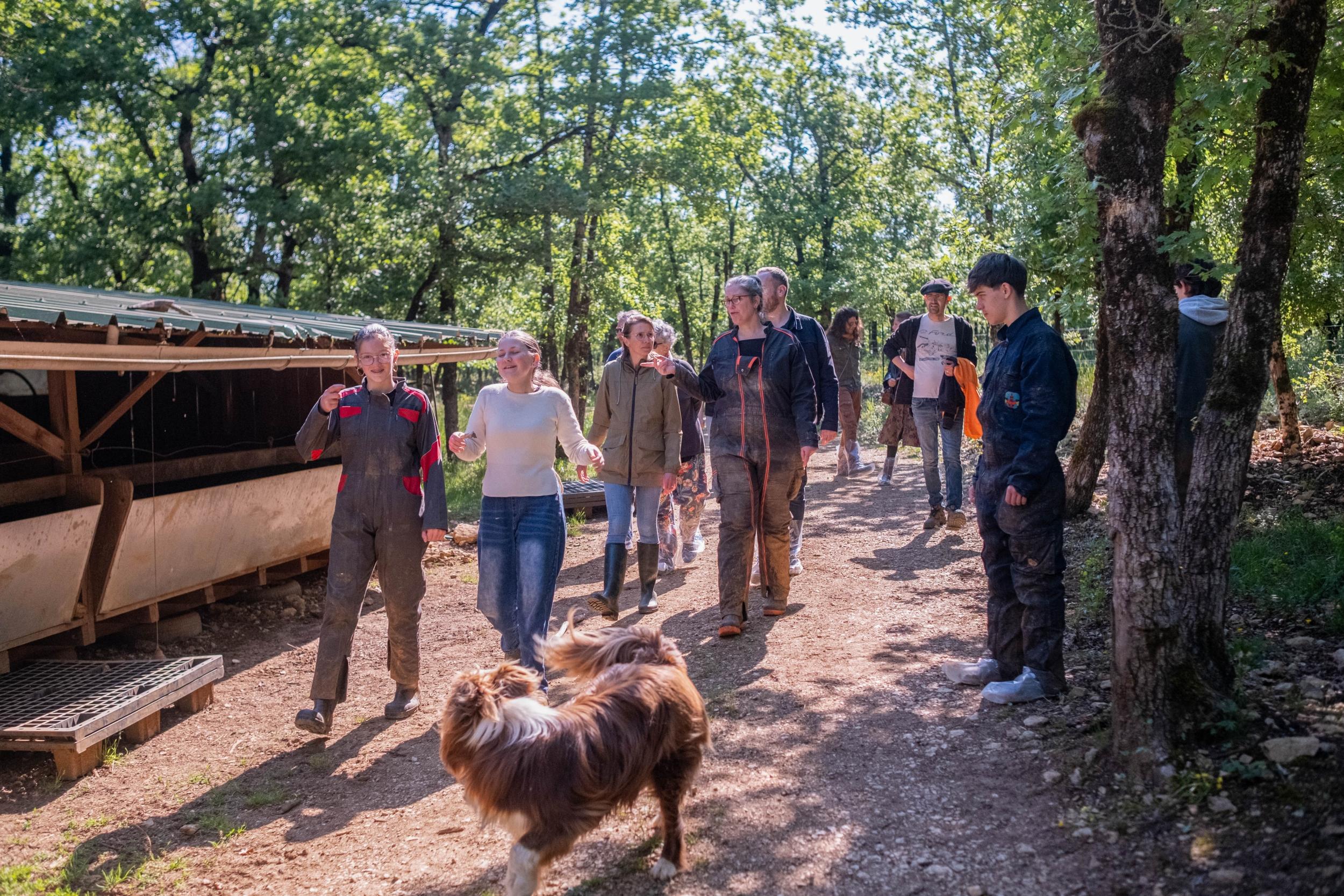 Wecandoo - Visitez une ferme de porc noir gascon et dégustez de la charcuterie avec Noellie et Eric - Image n°6