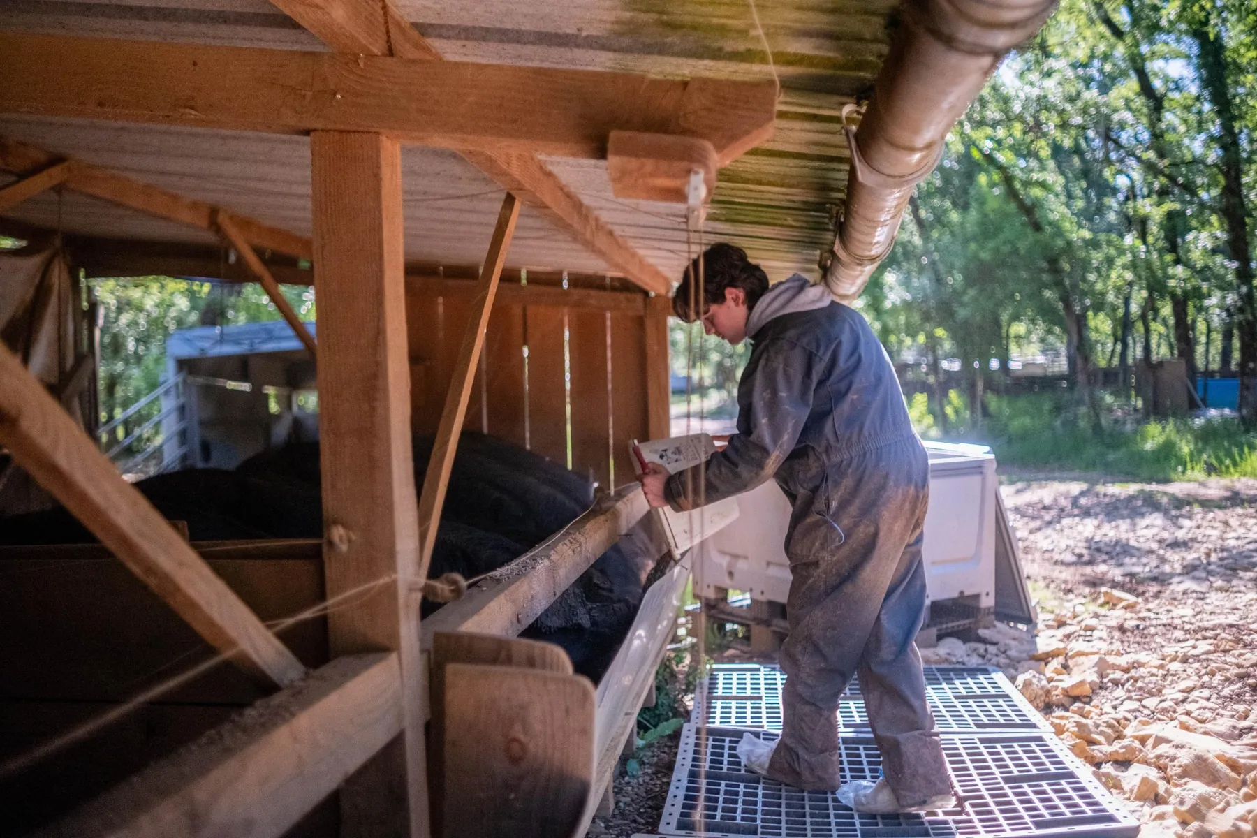 Visitez une ferme de porc noir gascon et dégustez de la charcuterie avec Noellie et Eric - Image n°1 - Wecandoo
