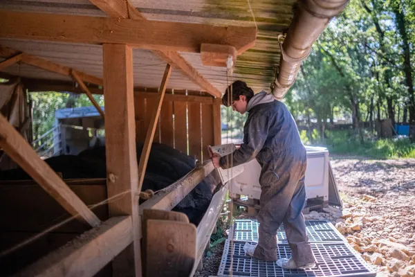 Visitez une ferme de porc noir gascon et dégustez de la charcuterie avec Noellie et Eric - Image n°1 - Wecandoo