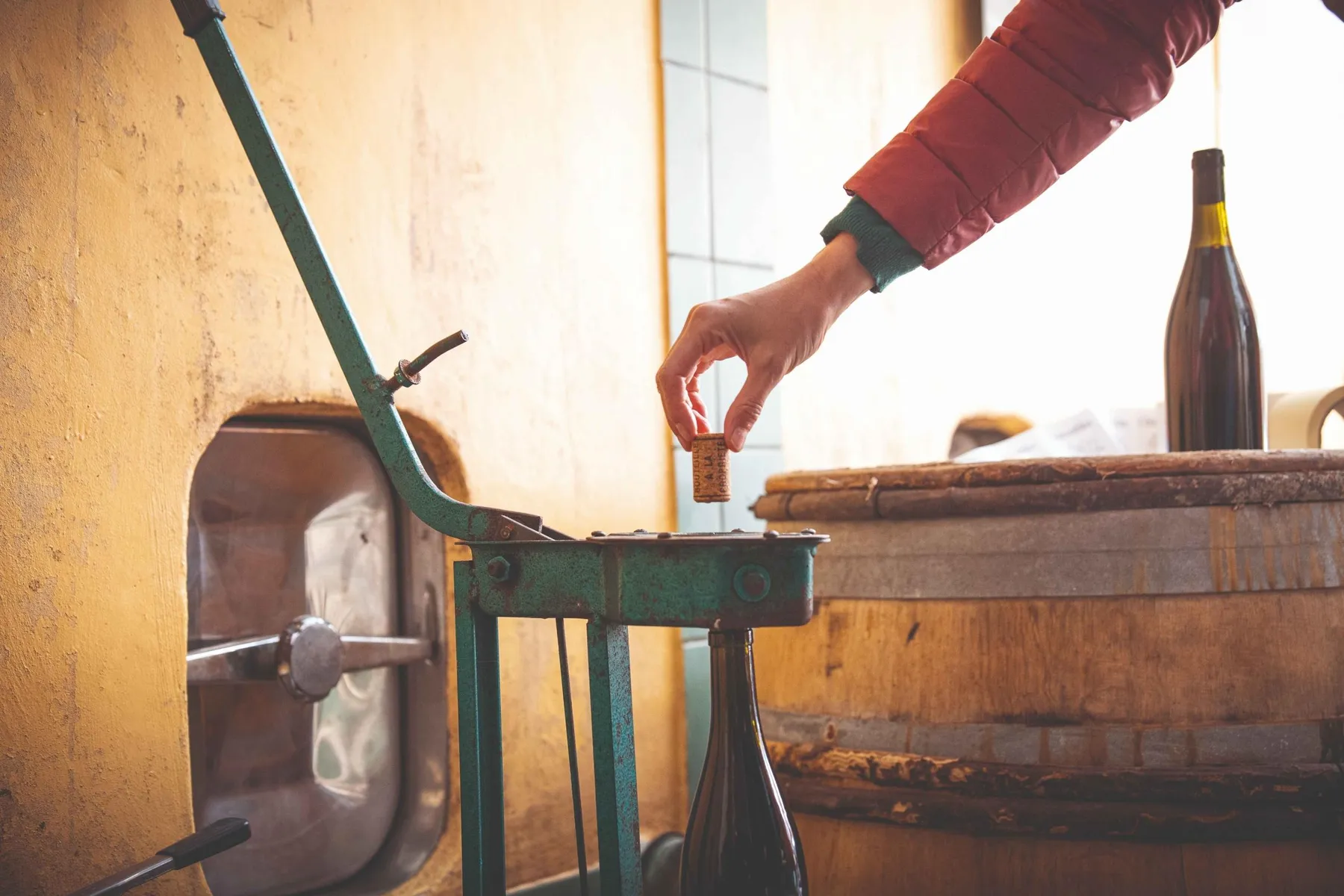 Mettez le vin en bouteille et dégustez un délicieux mâchon lyonnais avec Steeve - Image n°3 - Wecandoo