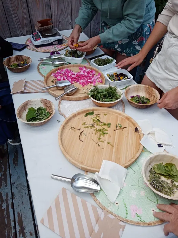 Réalisez une tisane à base de plantes médicinales avec Babette - Image n°2 - Wecandoo