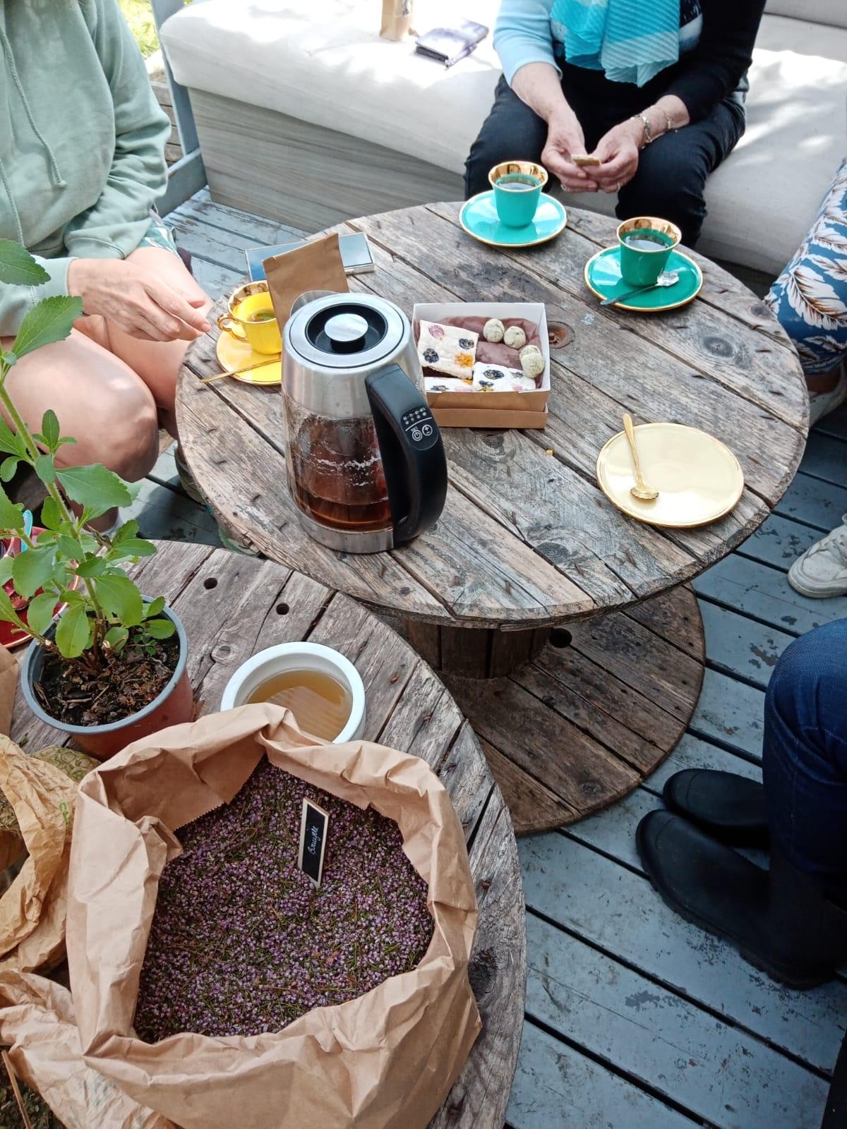 Wecandoo - Réalisez une tisane à base de plantes médicinales avec Babette - Image n°10