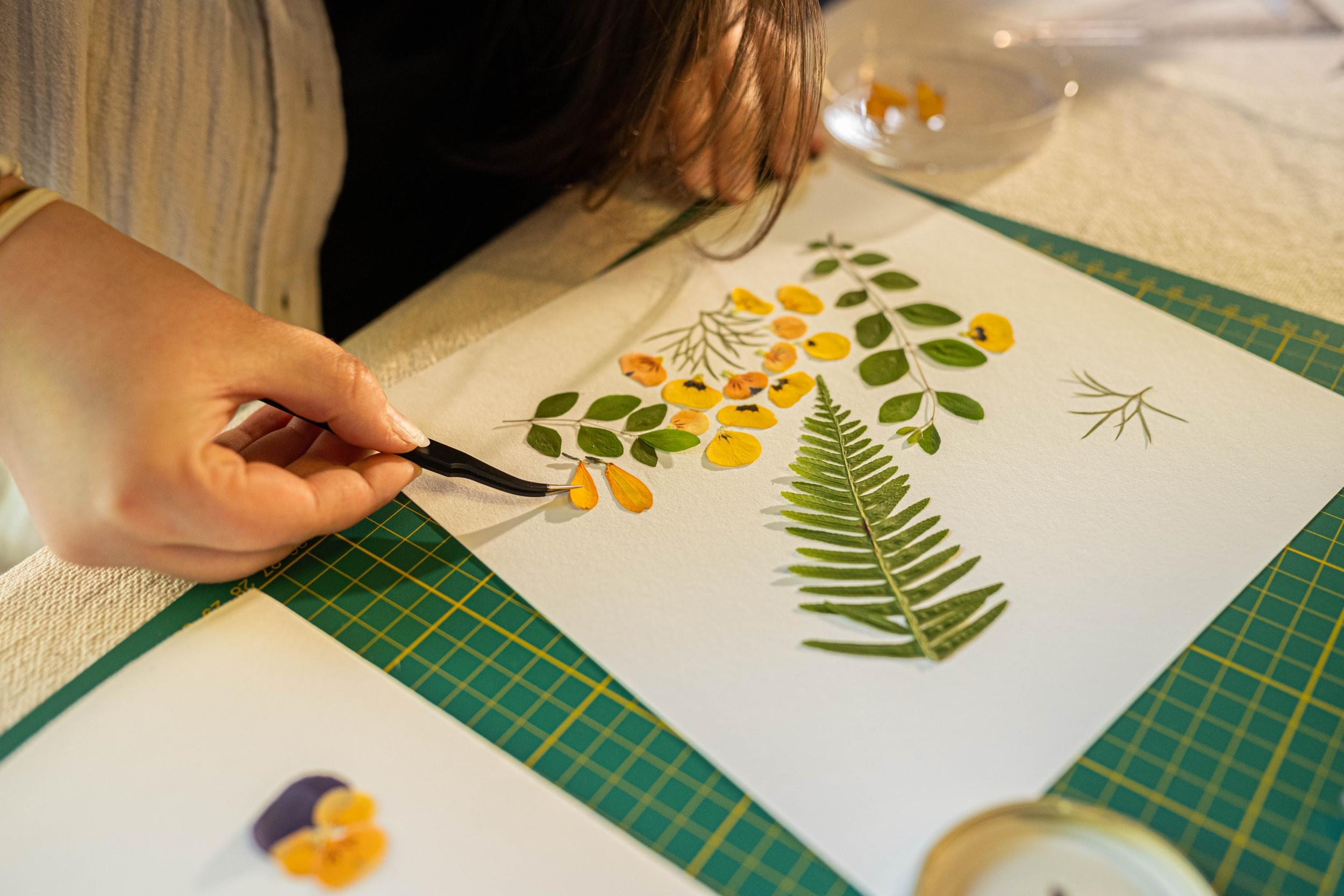 Wecandoo - Composez votre herbier fleuri avec Amélie - Image n°10