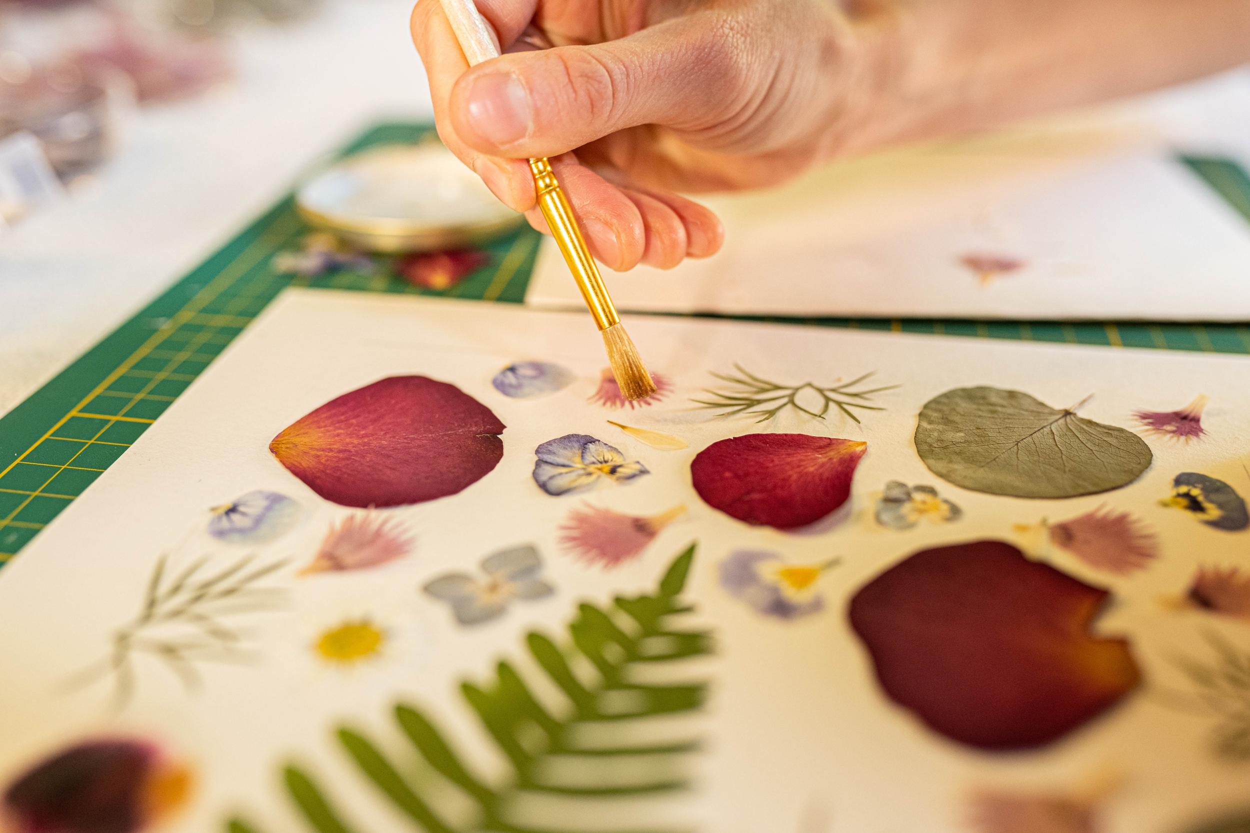 Wecandoo - Composez votre herbier fleuri avec Amélie - Image n°1