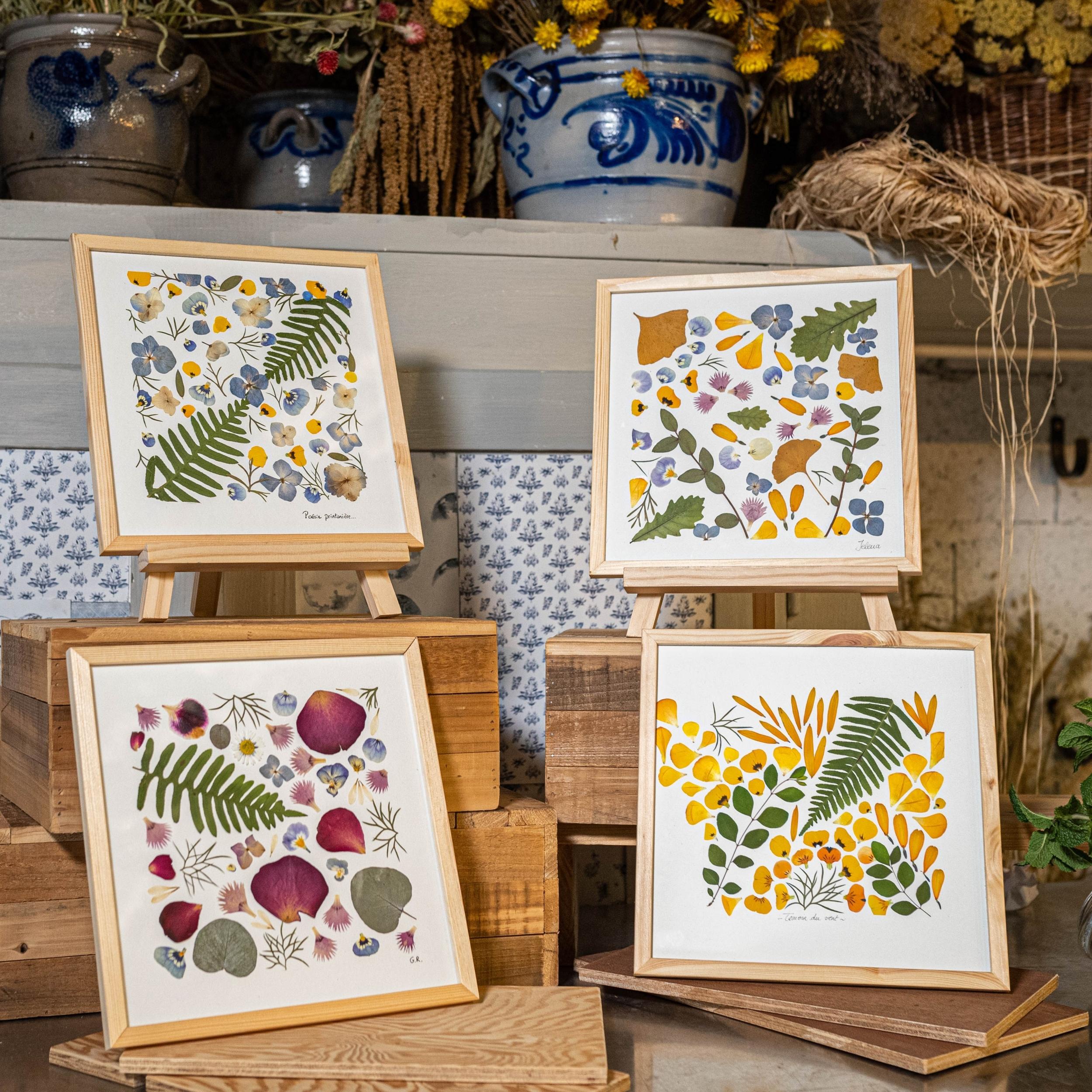 Composez votre herbier fleuri