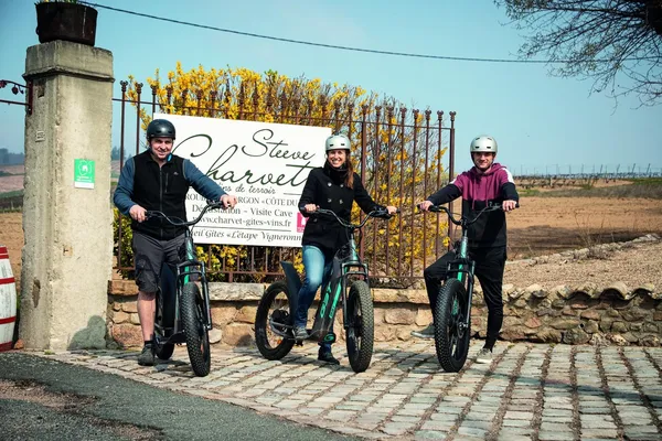 Baladez-vous à travers les vignes et dégustez des vins avec Steeve - Image n°5 - Wecandoo