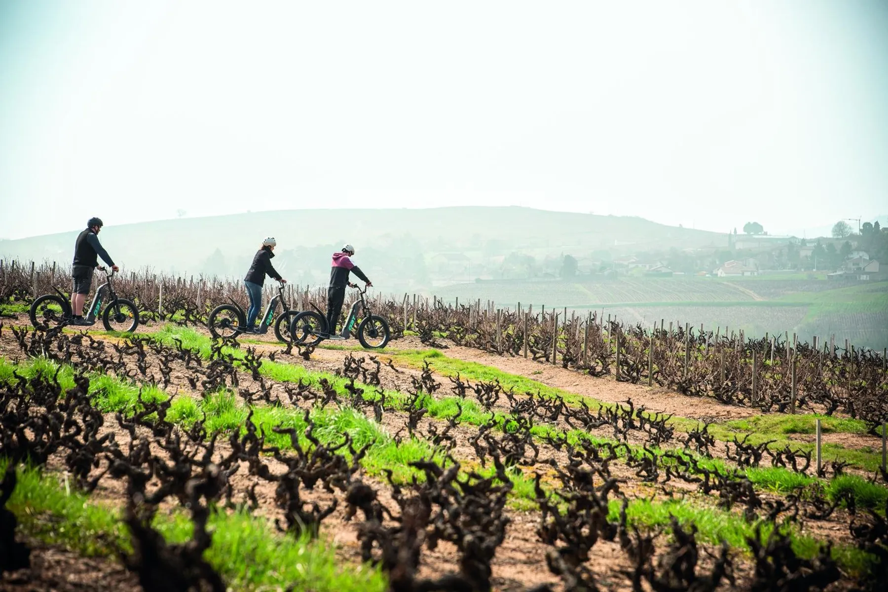 Baladez-vous à travers les vignes et dégustez des vins avec Steeve - Image n°4 - Wecandoo