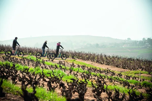Baladez-vous à travers les vignes et dégustez des vins avec Steeve - Image n°4 - Wecandoo