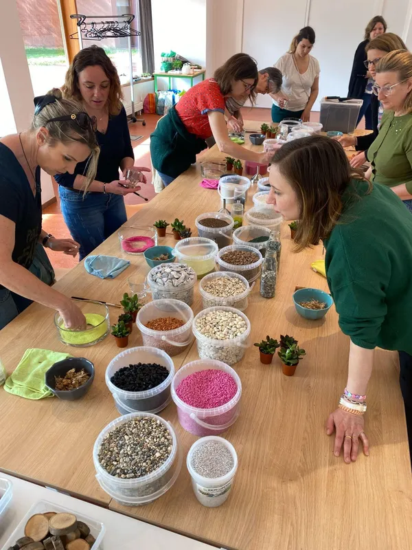 Réalisez votre mini jardin de plantes grasses avec Agathe - Image n°2 - Wecandoo