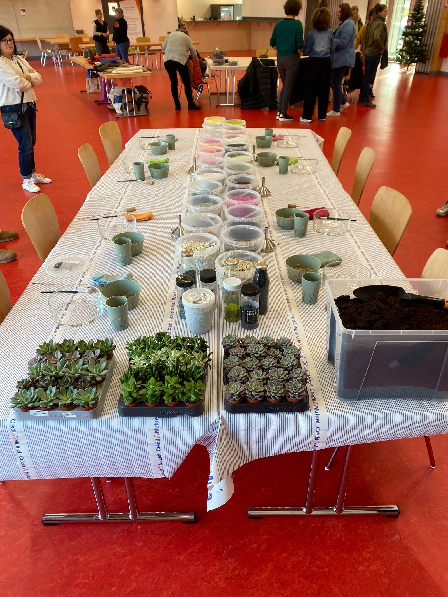 Réalisez votre mini jardin de  plantes grasses avec Agathe - Image n°7 - Wecandoo