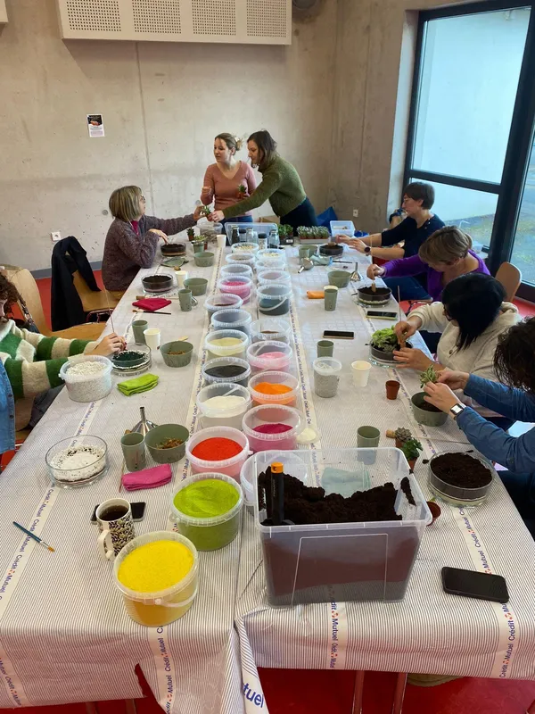 Réalisez votre mini jardin de plantes grasses avec Agathe - Image n°4 - Wecandoo