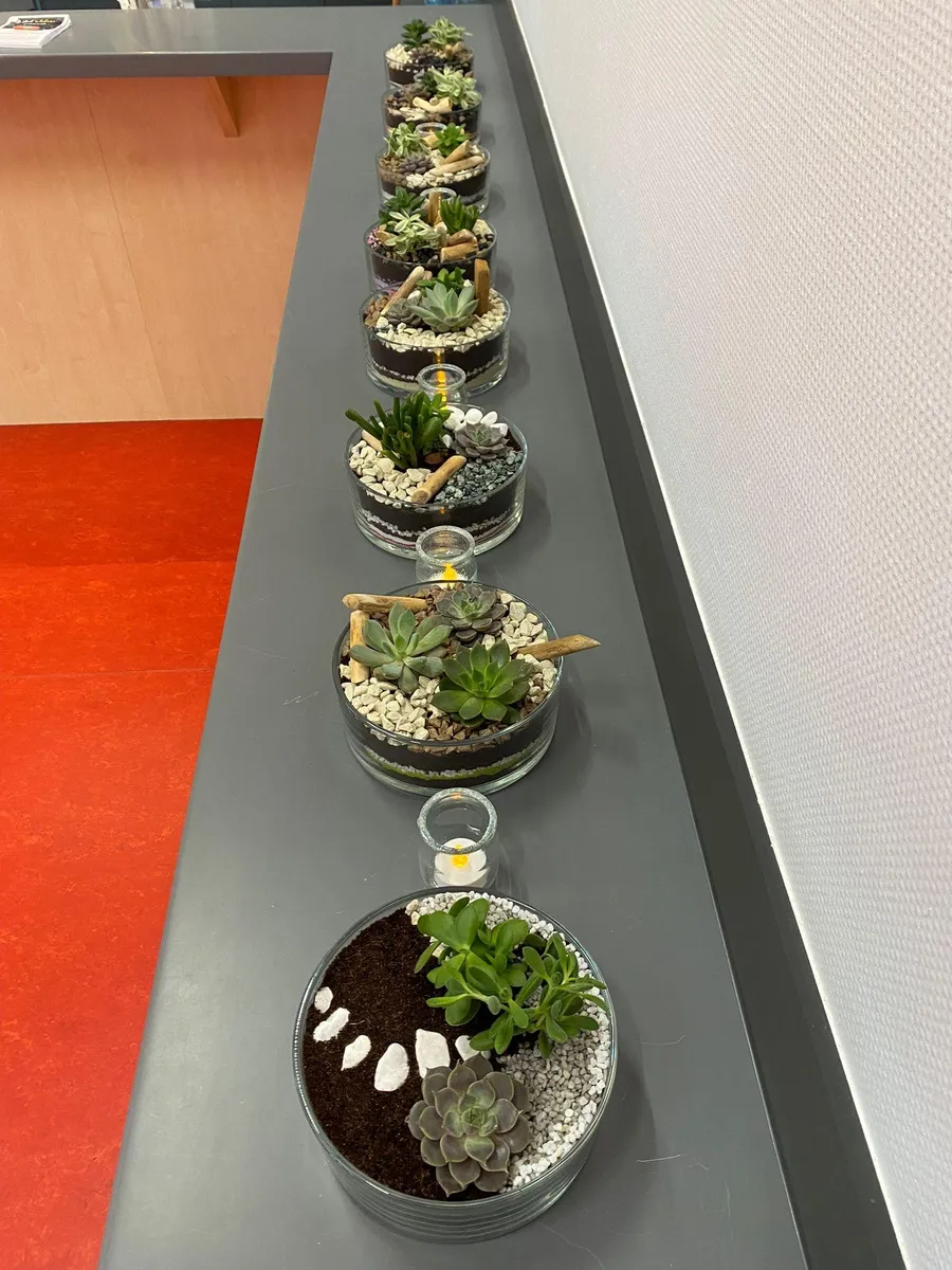Réalisez votre mini jardin de plantes grasses avec Agathe - Image n°1 - Wecandoo