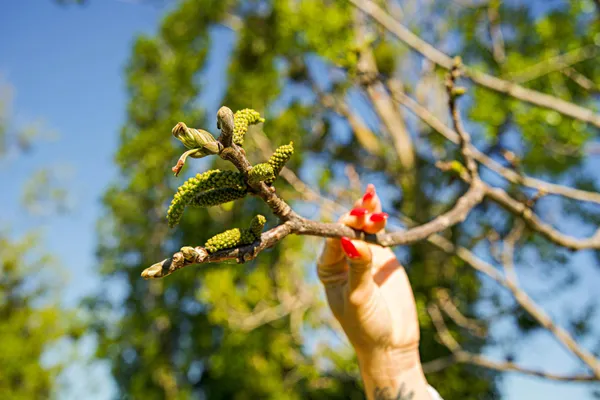 Découvrez une huilerie artisanale avec Elodie et Ludo - Image n°4 - Wecandoo