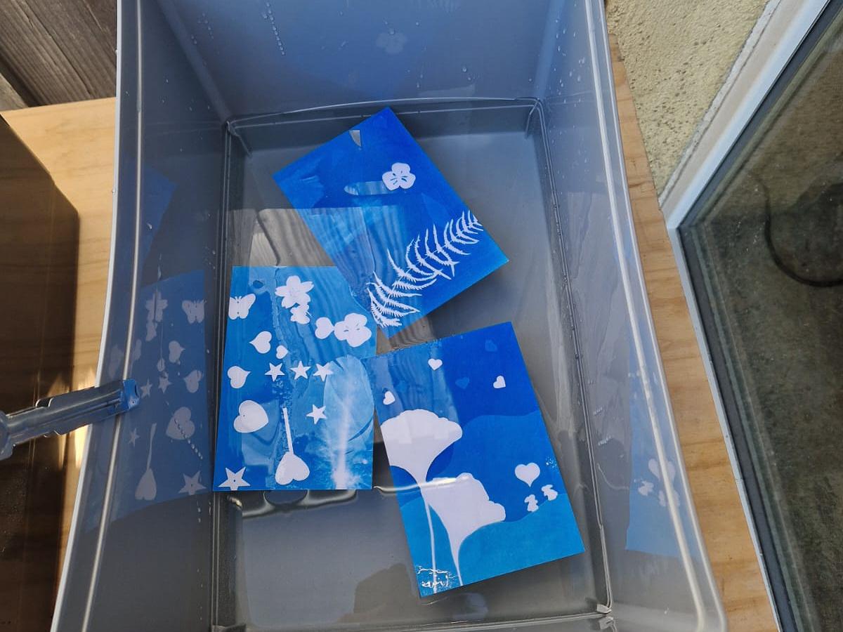 Wecandoo - Initiez-vous à l'impression de cyanotypes avec Clémence - Image n°1