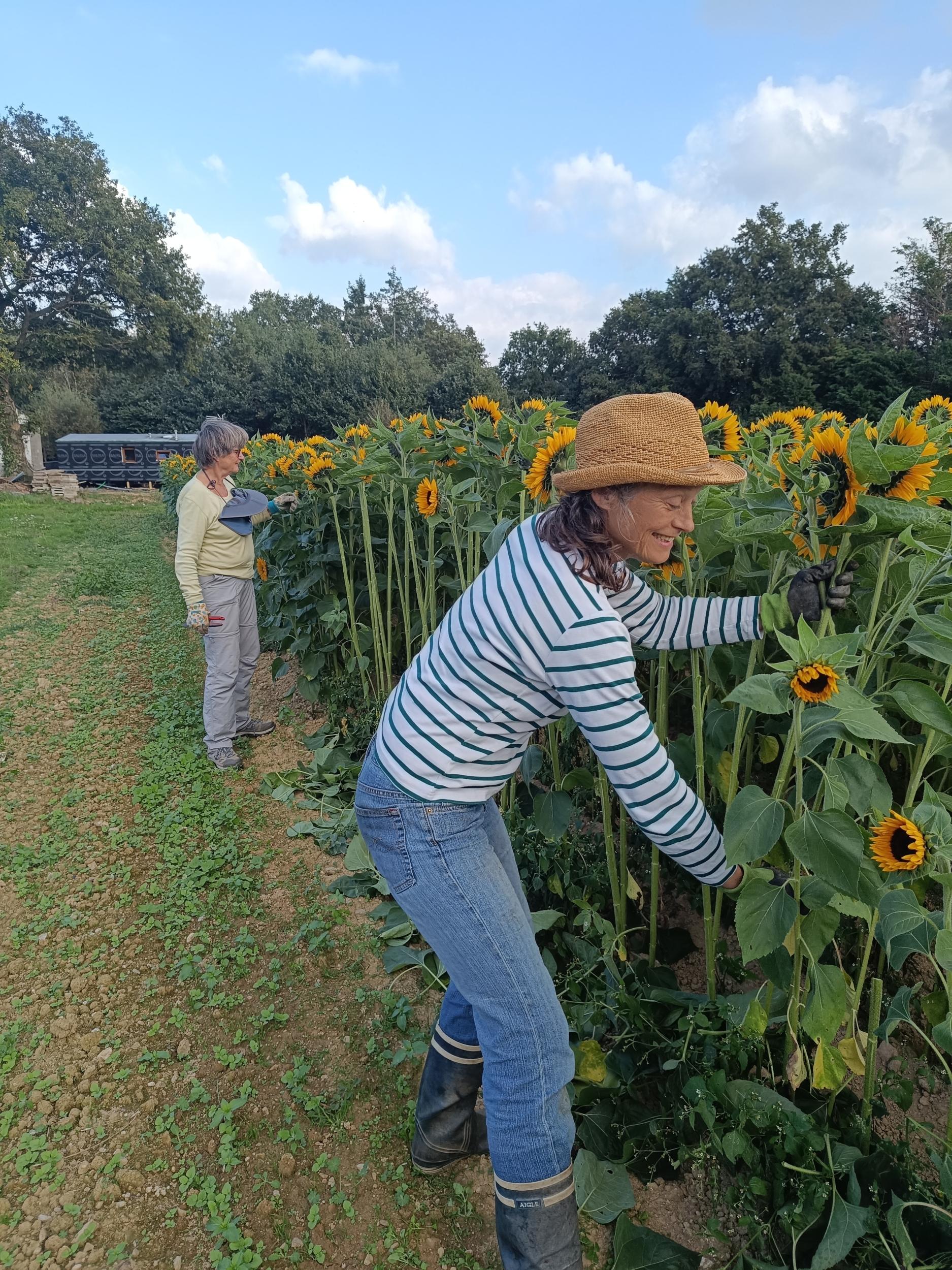 Wecandoo - Composez votre bouquet de fleurs avec Françoise - Image n°2