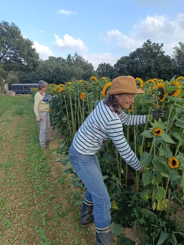 Composez votre bouquet de fleurs avec Françoise - Image n°2 - Wecandoo