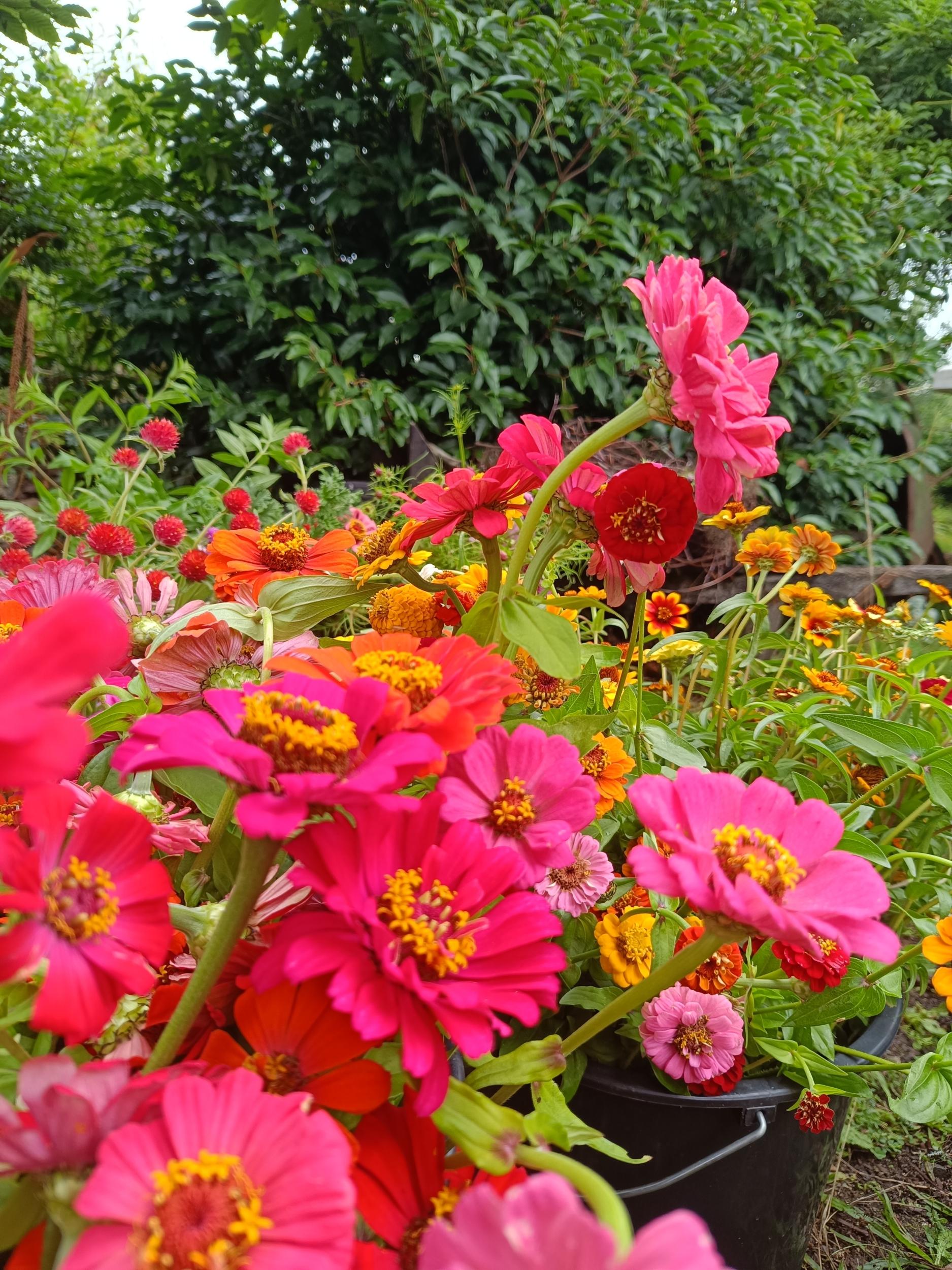 Wecandoo - Composez votre bouquet de fleurs avec Françoise - Image n°8