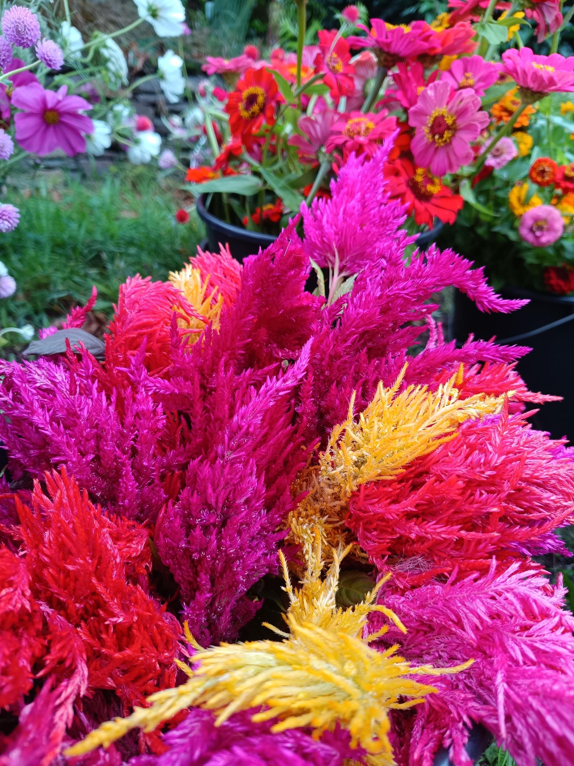 Wecandoo - Composez votre bouquet de fleurs avec Françoise - Image n°9