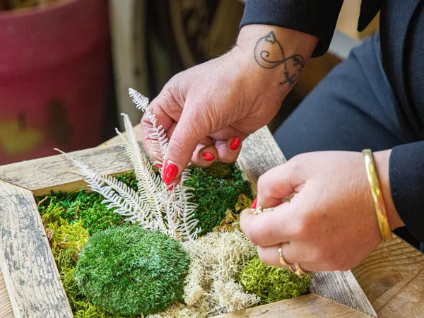 Réalisez votre grand tableau végétal avec Cécile - Afbeelding nr. 1 - Wecandoo