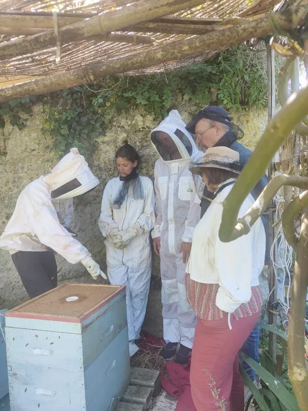 Initiez-vous à l'apiculture - Afbeelding nr. 2 - Wecandoo
